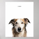 Search for borzois art Puppy