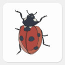 Search for beetle stickers Animal