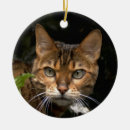 Search for bengal cat christmas tree decorations Kitty