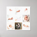 Search for collage pet memorials Modern