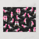 Search for galahs postcards Australia