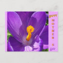 Search for spring crocus photography For her