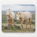 Search for larry ditto mousepads Ranch