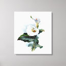 Search for calla lily art Flowers