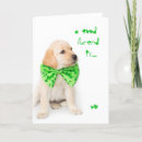 Search for friendship cards Green