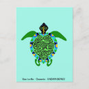 Search for turtle lover postcards Wildlife