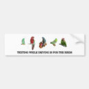 Search for parrot face bumper stickers Conure