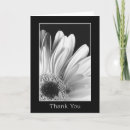 Search for gerber cards Daisies