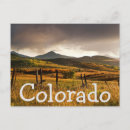 Search for barbed wire postcards Field