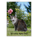 Search for winks Cat