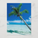 Search for south pacific ocean postcards Beach
