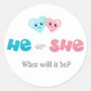 Search for he she stickers Gender reveal