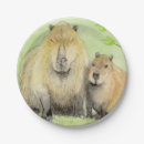 Search for capybara plates Animals
