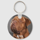 Search for dogs and cats key rings For pets