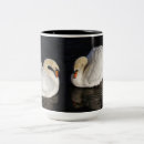 Search for black swan mugs White