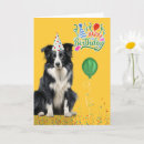 Search for border collie birthday cards Pets