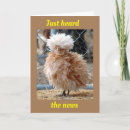 Search for funny chicken sayings postcards Co worker