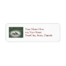 Search for wild turkey return address labels Wildlife
