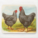 Search for barred mousepads Nature