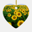Search for sunflower decor Sky