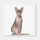 Search for months magnets Cats