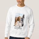 Search for stride Horse