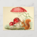 Search for vintage mushrooms postcards Forest