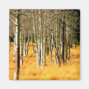 Search for autumn tree magnets Brown