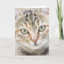 Search for funny face photo cards Animal