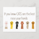 Search for funny cat sayings postcards Kittens