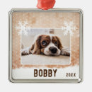 Search for pet name christmas tree decorations Snowflakes