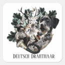 Search for drahthaar stickers German wirehaired pointer