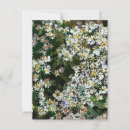 Search for aster flower postcards Flowers