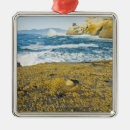 Search for rural christmas tree decorations Water