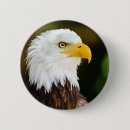 Search for american bald eagle badges Patriotic