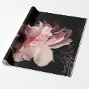 Search for petal wrapping paper Illustration