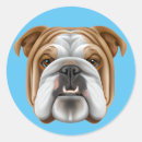 Search for english bulldog puppy stickers Animal