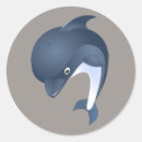 Search for marine envelope seals Ocean