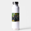 Search for chimpanzees drinkware Humour