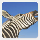 Search for sanctuary stickers Wildlife