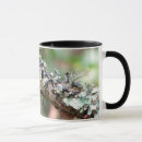 Search for moss mugs Woods