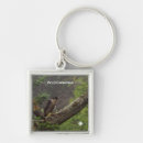 Search for peregrine falcon key rings Wildlife