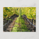 Search for napa valley Fall