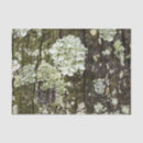 Search for camo tissue paper Rustic