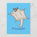 Search for gliders postcards Cartoon