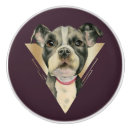 Search for dogs knobs and pulls Animal