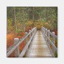 Search for oregon magnets Usa