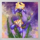 Search for iris painting posters Flowers