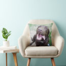 Search for chocolate labrador cushions Pet