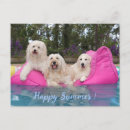 Search for happy summer postcards Dogs